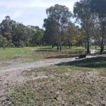 FMV Online - Flooding of Maribyrnong River - 17 October 2022 - Temporary Lake at Pipemakers Park