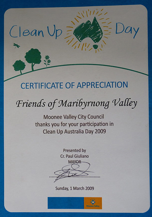 FMV Online - Awards - Certificate of Appreciation