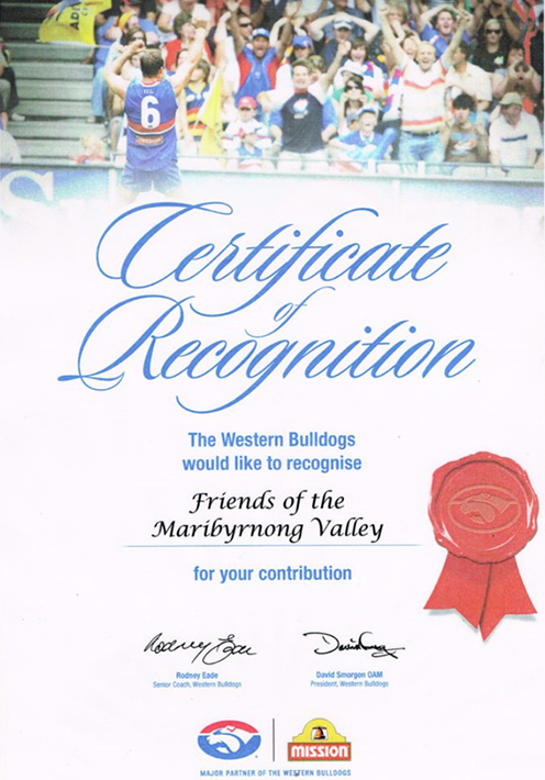 FMV Online - Awards - Certificate of Recognition