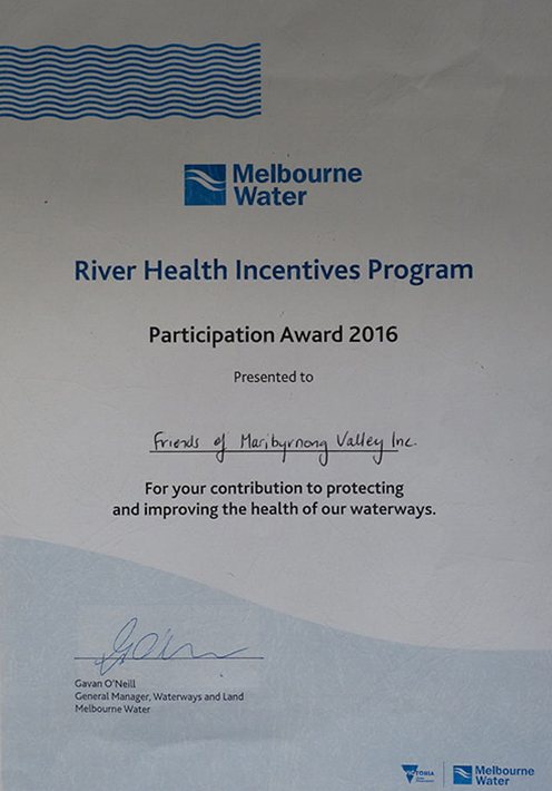 FMV Online - Awards - Participation Award 2016