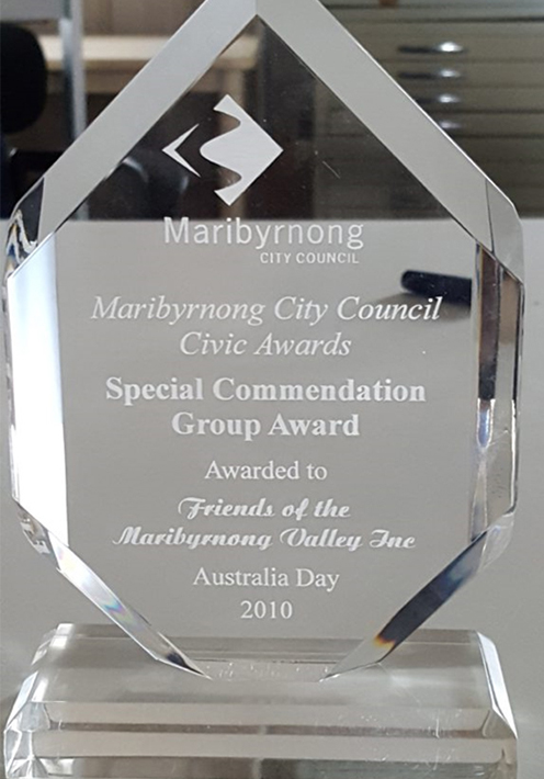 FMV Online - Awards - Special Commendation Group Award