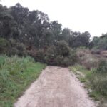 FMV Online - Flooding of Maribyrnong River - 17 October 2022 - 12