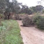 FMV Online - Flooding of Maribyrnong River - 17 October 2022 - 13