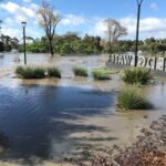 FMV Online - Flooding of Maribyrnong River - 17 October 2022 - 6