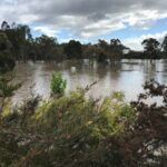 FMV Online - Flooding of Maribyrnong River - 17 October 2022 - 8