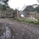 FMV Online - Flooding of Maribyrnong River - 17 October 2022 - 9
