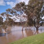 FMV Online - Flooding of Maribyrnong River - 17 October 2022 - Burndap - 2