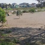 FMV Online - Flooding of Maribyrnong River - 17 October 2022 - Burndap Park