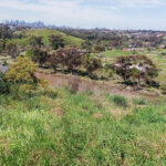 FMV Online - Flooding of Maribyrnong River - 17 October 2022 - Defence Land