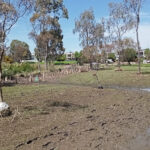 FMV Online - Flooding of Maribyrnong River - 17 October 2022 - Jack's Magazine Wetlands