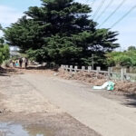 FMV Online - Flooding of Maribyrnong River - 17 October 2022 - Newell's Paddock