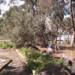 FMV Online - Flooding of Maribyrnong River - 17 October 2022 - Pipemakers