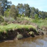 FMV Online - Flooding of Maribyrnong River - October 2022 - Grimes Flat - 10