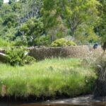 FMV Online - Flooding of Maribyrnong River - October 2022 - Grimes Flat - 11