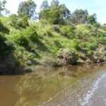FMV Online - Flooding of Maribyrnong River - October 2022 - Grimes Flat - 13