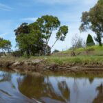 FMV Online - Flooding of Maribyrnong River - October 2022 - Grimes Flat - 14