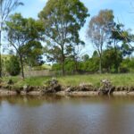 FMV Online - Flooding of Maribyrnong River - October 2022 - Grimes Flat - 15