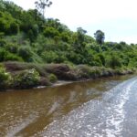 FMV Online - Flooding of Maribyrnong River - October 2022 - Grimes Flat - 16
