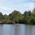 FMV Online - Flooding of Maribyrnong River - October 2022 - Grimes Flat - 18