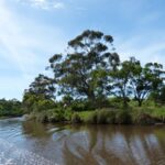 FMV Online - Flooding of Maribyrnong River - October 2022 - Grimes Flat - 19