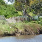 FMV Online - Flooding of Maribyrnong River - October 2022 - Grimes Flat - 21