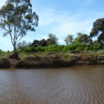 FMV Online - Flooding of Maribyrnong River - October 2022 - Grimes Flat - 22