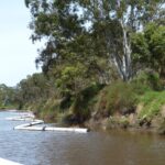 FMV Online - Flooding of Maribyrnong River - October 2022 - Grimes Flat - 23