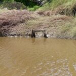 FMV Online - Flooding of Maribyrnong River - October 2022 - Grimes Flat - 28