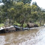 FMV Online - Flooding of Maribyrnong River - October 2022 - Grimes Flat - 29