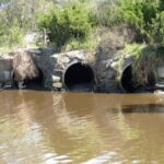 FMV Online - Flooding of Maribyrnong River - October 2022 - Grimes Flat - 3