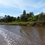 FMV Online - Flooding of Maribyrnong River - October 2022 - Grimes Flat - 30