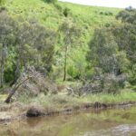 FMV Online - Flooding of Maribyrnong River - October 2022 - Grimes Flat - 37