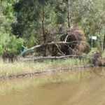 FMV Online - Flooding of Maribyrnong River - October 2022 - Grimes Flat - 38