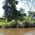 FMV Online - Flooding of Maribyrnong River - October 2022 - Grimes Flat - 39