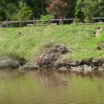 FMV Online - Flooding of Maribyrnong River - October 2022 - Grimes Flat - 4