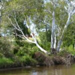 FMV Online - Flooding of Maribyrnong River - October 2022 - Grimes Flat - 40