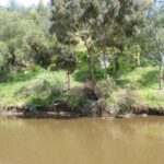 FMV Online - Flooding of Maribyrnong River - October 2022 - Grimes Flat - 43