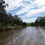 FMV Online - Flooding of Maribyrnong River - October 2022 - Grimes Flat - 44