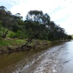 FMV Online - Flooding of Maribyrnong River - October 2022 - Grimes Flat - 45