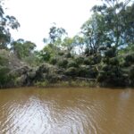 FMV Online - Flooding of Maribyrnong River - October 2022 - Grimes Flat - 47