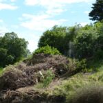 FMV Online - Flooding of Maribyrnong River - October 2022 - Grimes Flat - 50