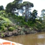 FMV Online - Flooding of Maribyrnong River - October 2022 - Grimes Flat - 52