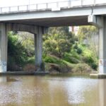 FMV Online - Flooding of Maribyrnong River - October 2022 - Grimes Flat - 53