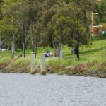 FMV Online - Flooding of Maribyrnong River - October 2022 - Grimes Flat - 55