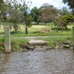 FMV Online - Flooding of Maribyrnong River - October 2022 - Grimes Flat - 56
