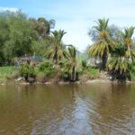 FMV Online - Flooding of Maribyrnong River - October 2022 - Grimes Flat - 6