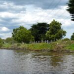 FMV Online - Flooding of Maribyrnong River - October 2022 - Grimes Flat - 60