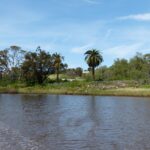 FMV Online - Flooding of Maribyrnong River - October 2022 - Grimes Flat - 7