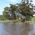 FMV Online - Flooding of Maribyrnong River - October 2022 - Grimes Flat - 8