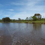 FMV Online - Flooding of Maribyrnong River - October 2022 - Grimes Flat - 9